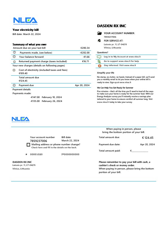 Lithuania National Lithuanian Energy Association business utility bill Word and PDF template PSD template